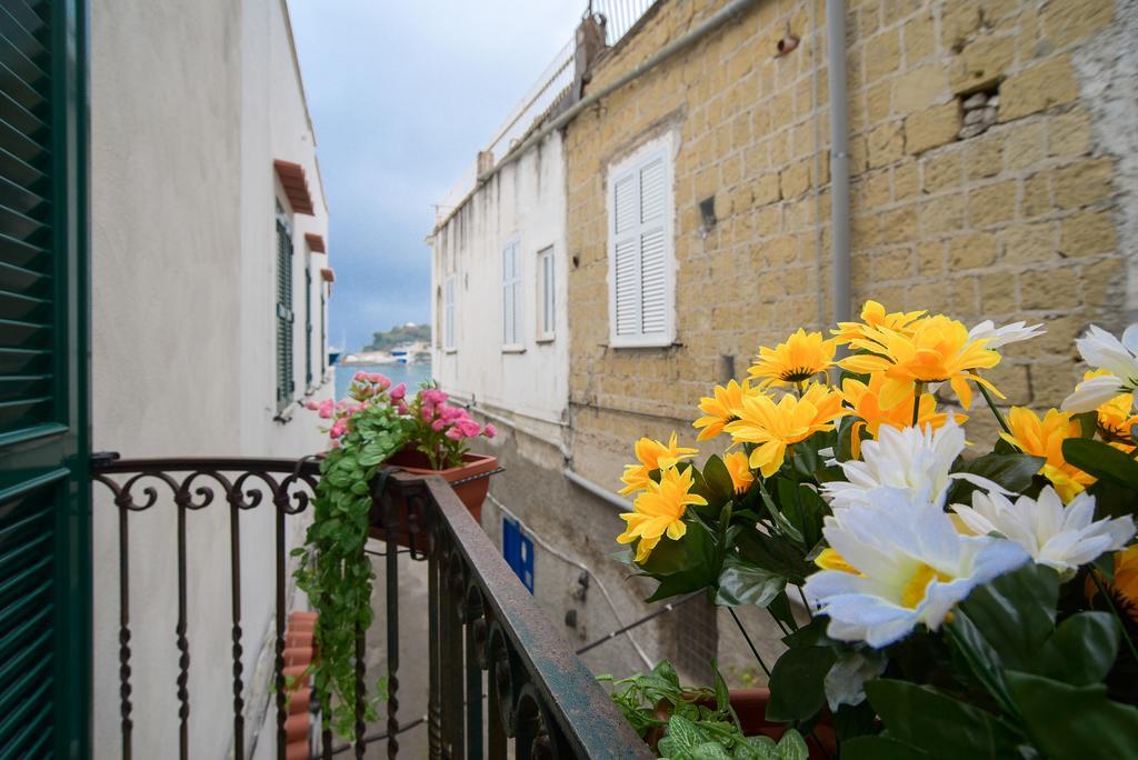 Apartment Iasolino